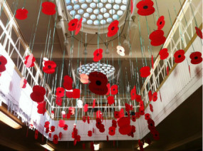 Remembrance day library display