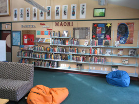 Maori and Pasifica collections
