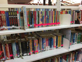 Buningyong Primary School library - colour coded spine labels