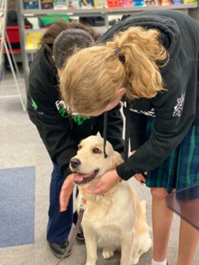 Students petting a dog at school