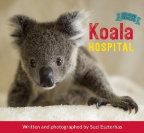 The Koala Hospital Book