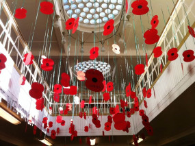 Remembrance day library display - poppies