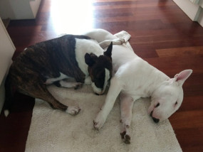 Ava and Onslow 