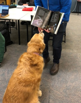 Reading a book to a dog 