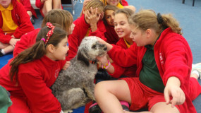 Students with Winston the library dog