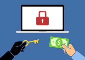 Softlink keeps data safe